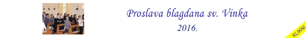 Proslava blagdana Sv.Vinka Paulskog u Puli 2016